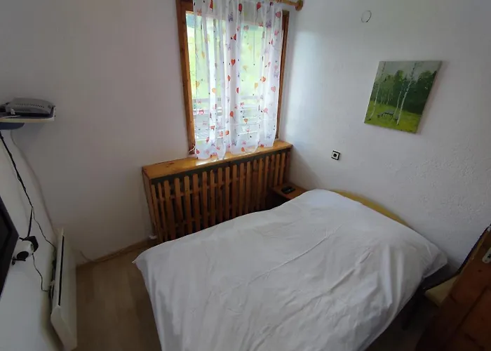 беевски 펜션 *