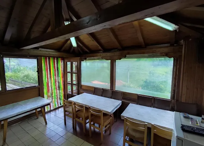 беевски * 겔라